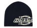 Dickies Summerdale Logo night sky Pipo