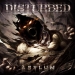 Disturbed : Asylum CD
