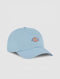 Dickies Hardwick skyway Lippis