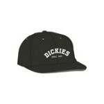 Dickies West Vale black Lippis