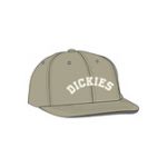 Dickies West Vale khaki Lippis