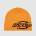 Dickies Summerdale Logo autumn maple Pipo