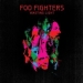 Foo Fighters: Wasting Light LP