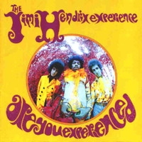 Hendrix, Jimi : Are you experienced LP