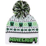Minecraft Creeper Pipo