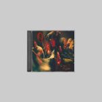 Queens Of The Stone Age : Perfecth CD