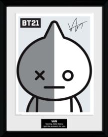 BTS BT21 Van 30x 40cm Taulu