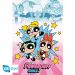 Powerpuff Girls Girls vs Villains 61 x 91,5cm Juliste (145)