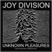 Joy Division - Unknown Pleasures Hihamerkki