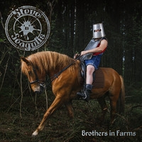 Steve N Seagulls : Brothers In Farms CD