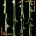 Type O Negative : October Rust CD